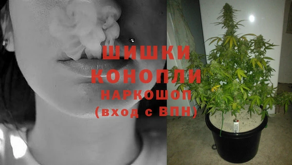 дурь Балахна