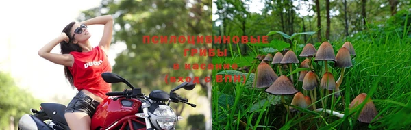 дурь Балахна