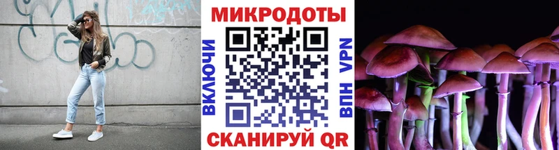 omg   хочу наркоту  Луховицы  Псилоцибиновые грибы Cubensis 